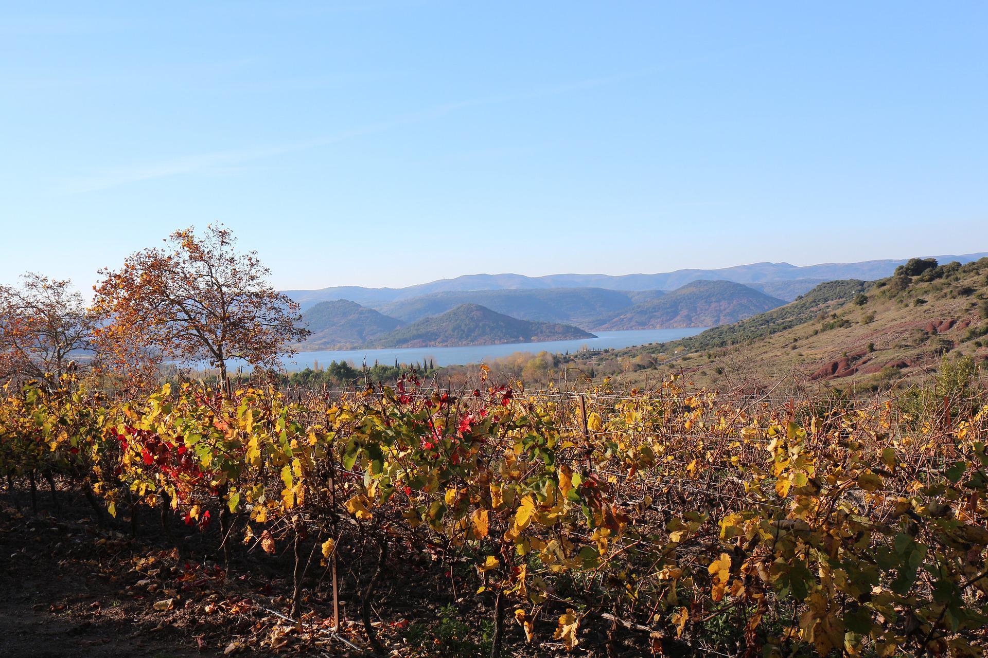 lac du salagou dans l'hérault